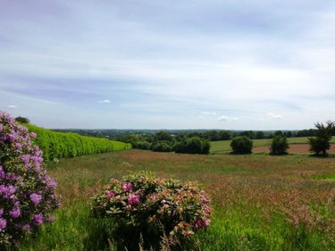 Maison a vendre Ploërdut 56160 Morbihan 90 m2 4 pièces 97400 euros