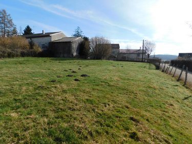 Terrain a batir a vendre Neuville-sur-Ain 01160 Ain 1235 m2  95500 euros