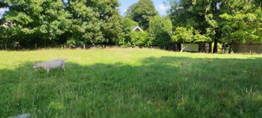Terrain a batir a vendre Terres-de-Caux 76640 Seine-Maritime 1502 m2  75000 euros