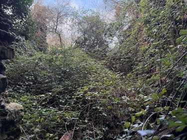 Maison a vendre Le Hézo 56450 Morbihan 200 m2  207900 euros