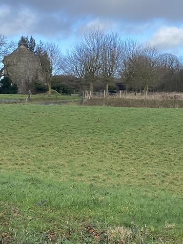 Terrain a batir a vendre La Ferrière-Harang 14350 Calvados 4013 m2  13000 euros