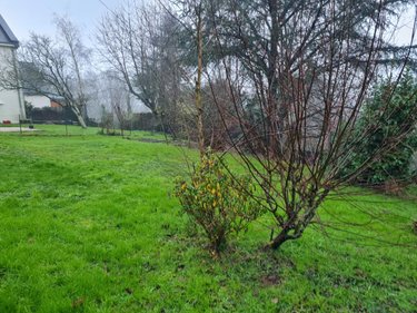 Maison a vendre Rohan 56580 Morbihan 47 m2 2 pièces 32400 euros