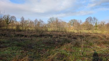 Terrains de loisirs bois etangs a vendre La Lande-d'Airou 50800 Manche 11328 m2  9100 euros