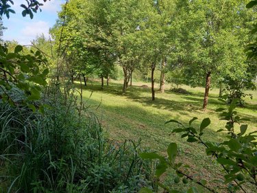 Terrains de loisirs bois etangs a vendre Parçay-sur-Vienne 37220 Indre-et-Loire 7760 m2  23600 euros