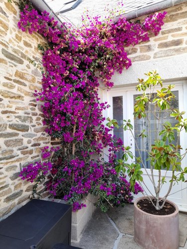 Maison a vendre Tréogat 29720 Finistère 230 m2 10 pièces 780000 euros