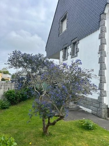 Maison a vendre Lanester 56600 Morbihan 115 m2 5 pièces 226139 euros