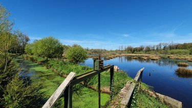 Maison a vendre Langonnet 56630 Morbihan 113 m2 5 pièces 179100 euros