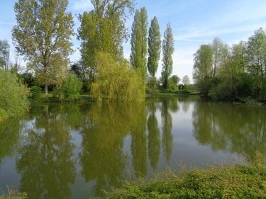 Terrains de loisirs bois etangs a vendre Annezin 62232 Pas-de-Calais 7918 m2  136500 euros