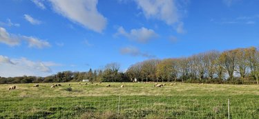 Immeuble a vendre Tréméoc 29120 Finistère 150 m2  367500 euros