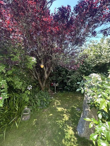 Maison a vendre Plozévet 29710 Finistère 95 m2 5 pièces 233800 euros