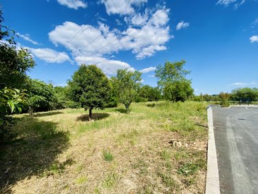 Terrain a batir a vendre Saint-Bauzille-de-Montmel 34160 Hérault 556 m2  200000 euros