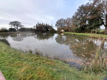 Terrains de loisirs bois etangs a vendre Saint-Léger 53480 Mayenne 9220 m2  31500 euros