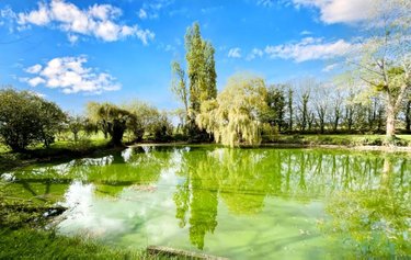 Maison a vendre Nouans 72260 Sarthe 271 m2 9 pièces 299900 euros