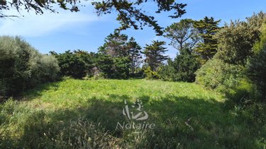 Terrains de loisirs bois etangs a vendre Cléder 29233 Finistère 2093 m2  49680 euros