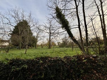 Terrains de loisirs bois etangs a vendre Fontaines 71150 Saône-et-Loire 6304 m2  32400 euros