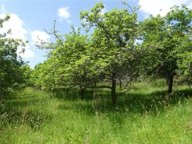 Maison a vendre Gouesnach 29950 Finistère 154 m2 7 pièces 573450 euros