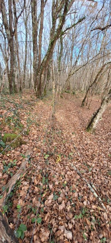 Terrains de loisirs bois etangs a vendre Peyrusse-Grande 32320 Gers 57740 m2  39500 euros