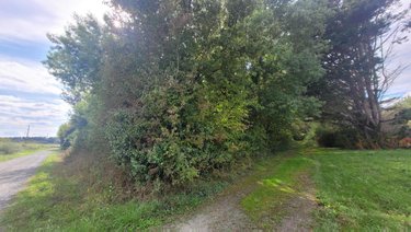 Terrains de loisirs bois etangs a vendre Précigné 72300 Sarthe 3999 m2  5000 euros