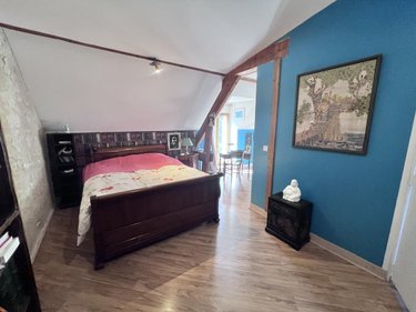 Maison a vendre Châtillon-sur-Cher 41130 Loir-et-Cher 385 m2 14 pièces 420000 euros
