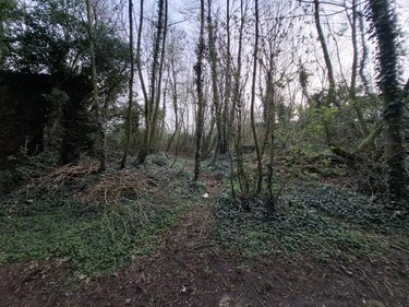 Terrains de loisirs bois etangs a vendre Ames 62190 Pas-de-Calais 1163 m2  28000 euros