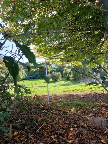Terrain a batir a vendre Bajus 62150 Pas-de-Calais 3326 m2  101000 euros