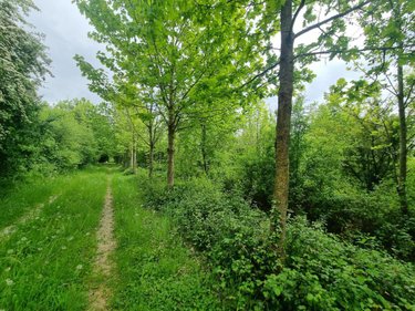 Terrains de loisirs bois etangs a vendre Érin 62134 Pas-de-Calais 24517 m2  90398 euros