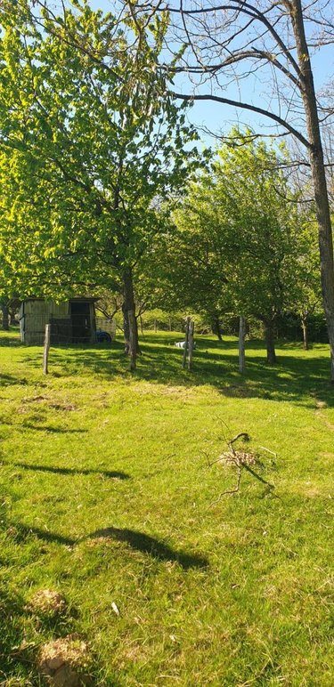 Terrains de loisirs bois etangs a vendre Cussey-sur-l'Ognon 25870 Doubs 3352 m2  17500 euros