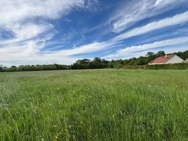 Terrain a batir a vendre Sonzay 37360 Indre-et-Loire 1209 m2  85600 euros