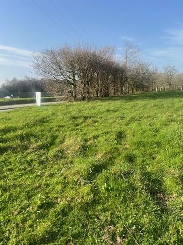 Terrain a batir a vendre Grand-Champ 56390 Morbihan 1323 m2  186300 euros