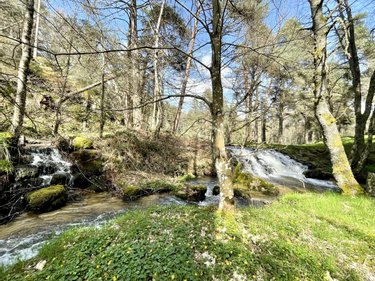 Maison a vendre Saint-Just 15320 Cantal 191 m2 7 pièces 299000 euros
