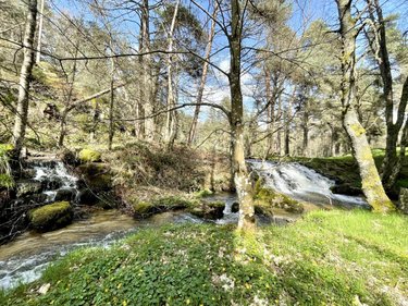 Maison a vendre Saint-Just 15320 Cantal 191 m2 7 pièces 299000 euros