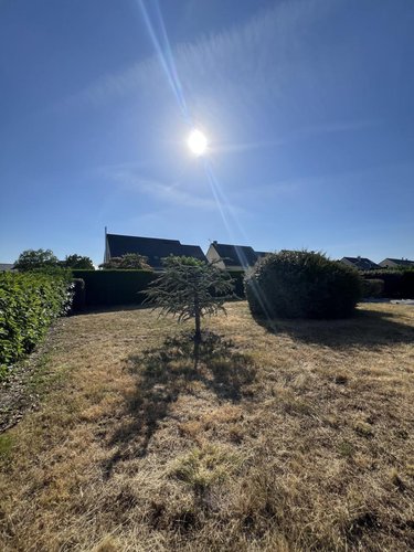 Location maison Champtocé-sur-Loire 49123 Maine-et-Loire 76 m2  900 euros