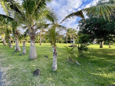 Terrain a batir a vendre Sainte-Suzanne 97441 Réunion 2589 m2  574750 euros