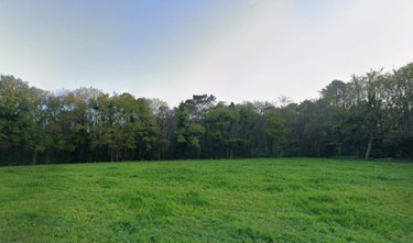 Terrains de loisirs bois etangs a vendre Nostang 56690 Morbihan 192760 m2  99860 euros