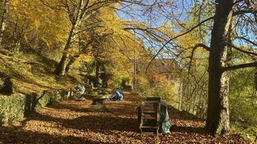 Maison a vendre Montanges 01200 Ain 217 m2  395000 euros