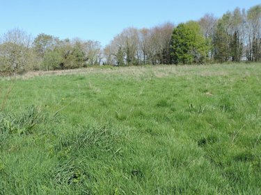 Maison a vendre Plestin-les-Grèves 22310 Côtes-d'Armor 200 m2 8 pièces 431700 euros