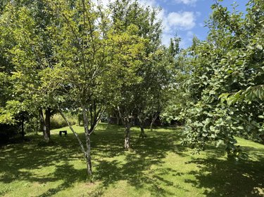 Maison a vendre Langourla 22330 Côtes-d'Armor 161 m2  234045 euros