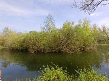 Terrains de loisirs bois etangs a vendre Amiens 80000 Somme 31288 m2  155000 euros
