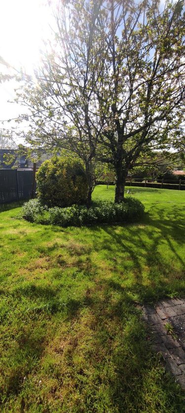 Location maison Molac 56230 Morbihan 39 m2 2 pièces 520 euros