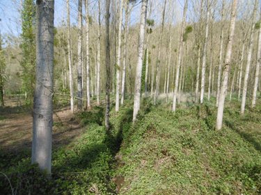 Terrains de loisirs bois etangs a vendre Pont-Farcy 50420 Manche 3960 m2  11000 euros