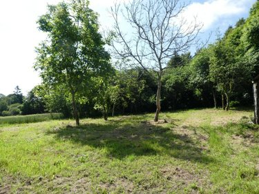 Maison a vendre Le Croisty 56540 Morbihan 90 m2 2 pièces 69180 euros