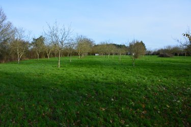Terrains de loisirs bois etangs a vendre Grez-en-Bouère 53290 Mayenne 9026 m2  37450 euros