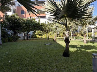 Appartement a vendre Saint-Paul 97460 Réunion 87 m2 4 pièces 650000 euros