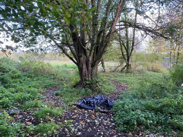 Maison a vendre Montreuil-au-Houlme 61210 Orne 85 m2 3 pièces 75050 euros