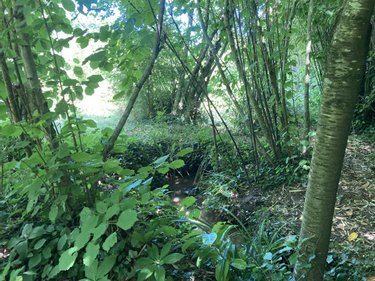 Terrains de loisirs bois etangs a vendre Saint-Germain-le-Fouilloux 53240 Mayenne 3106 m2  28600 euros