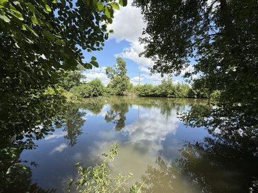 Terrains de loisirs bois etangs a vendre Méricourt-l'Abbé 80800 Somme 13655 m2  164800 euros