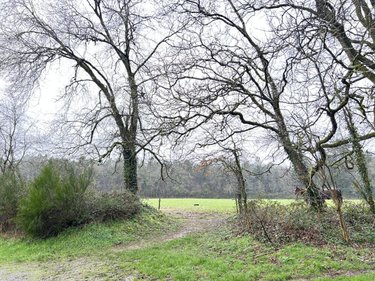Maison a vendre Carentoir 56910 Morbihan 110 m2 5 pièces 259750 euros
