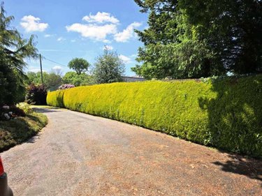 Maison a vendre Plélauff 22570 Côtes-d'Armor 97 m2 4 pièces 239500 euros