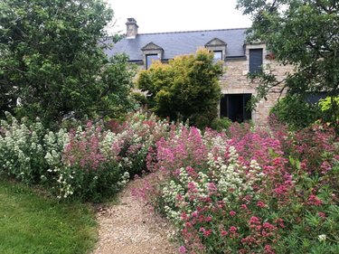 Maison a vendre Elven 56250 Morbihan 335 m2 10 pièces 980400 euros