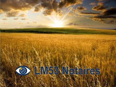 Terrains de loisirs bois etangs a vendre La Bazouge-des-Alleux 53470 Mayenne 53870 m2  48000 euros